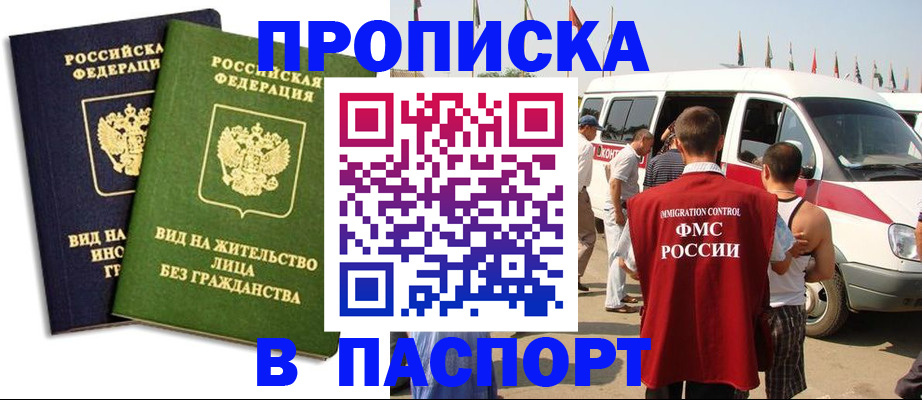 прописка в Невеле